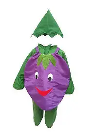Tomato Fruit Costume